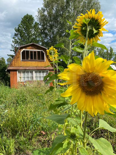 Участок 8 сот. (СНТ, ДНП)