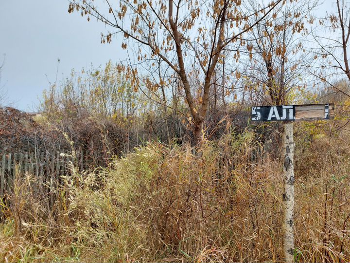 Участок 10 сот. (СНТ, ДНП)