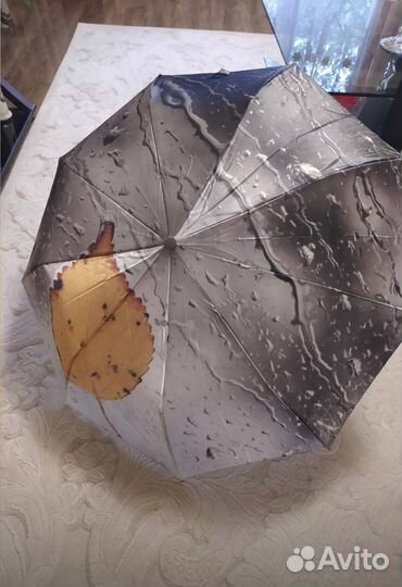 Новые зонты