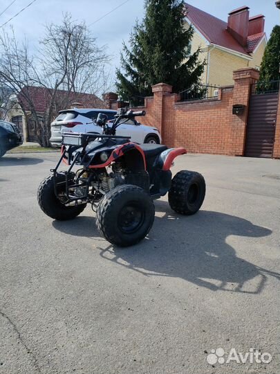 Квадрик 125 кубов