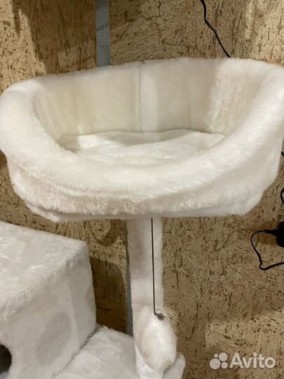 Пентахус для вашева любимца