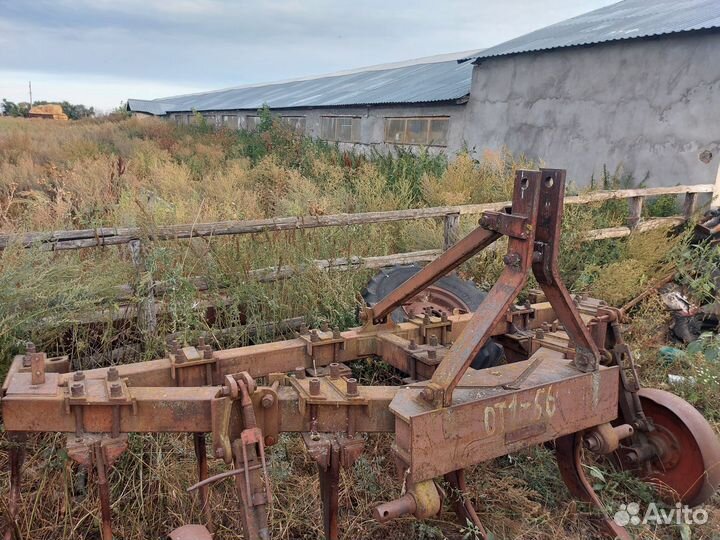 Ферма Кашара