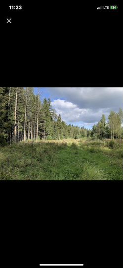 Участок 40 сот. (СНТ, ДНП)