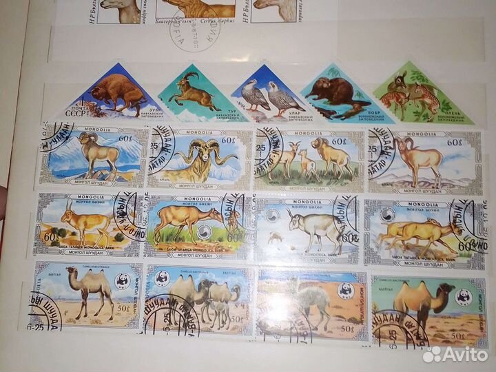 Почтовые марки фауна