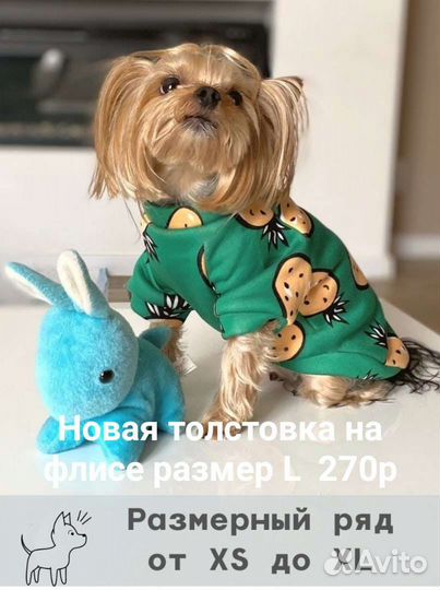 Новая толстовка на собаку