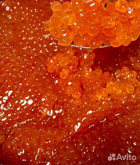 Красная икра форели розница и оптом