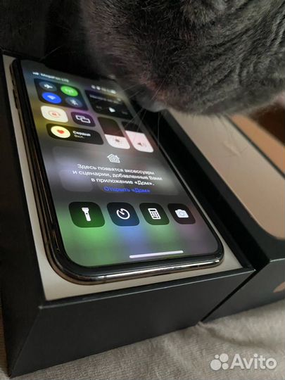 Apple iPhone 11 pro