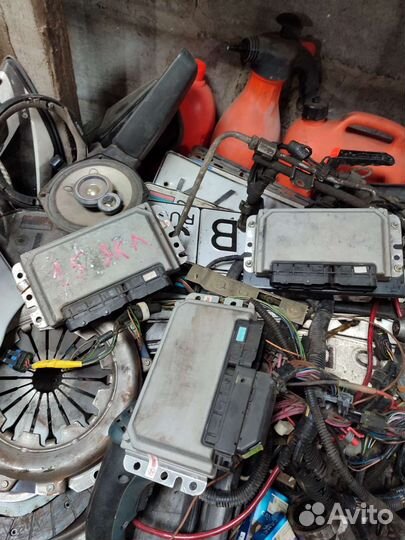 Мозги январь на классику эбу