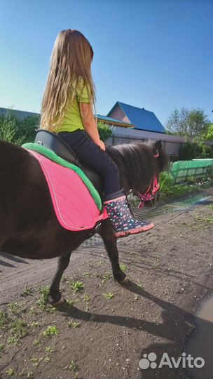 Седло для пони Wintek