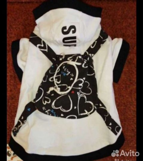 Одежда для собак