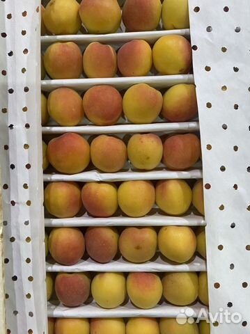 Абрикос Узбекский 5кг ящик