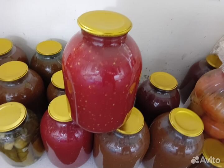 Куры молодки