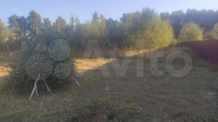 Участок 13,1 сот. (СНТ, ДНП)