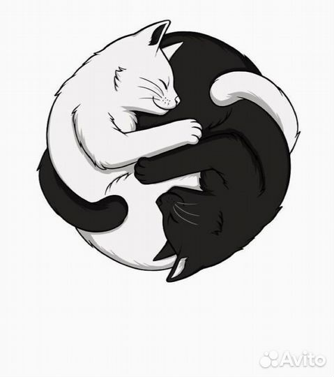 Ветеринарный врач на дом все виды хирургии