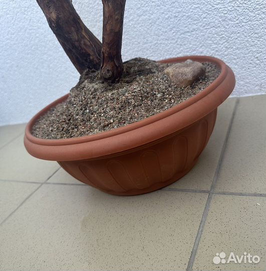 Искусственная пальма