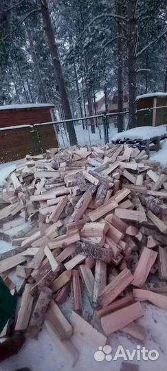 Дрова колотые березовые