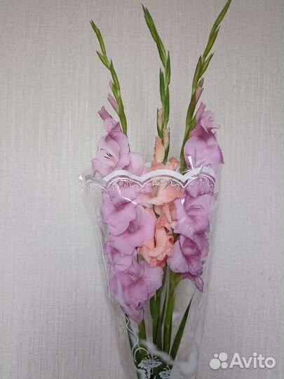 Букет цветов