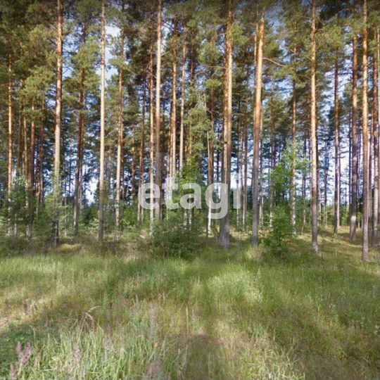 Участок 25,3 сот. (ИЖС)