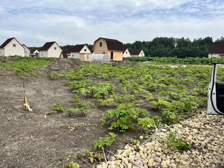 Участок 8 сот. (ИЖС)