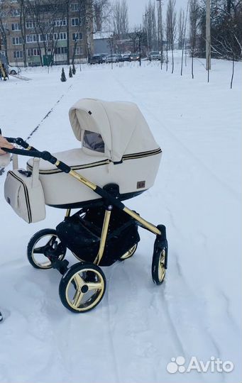 Коляска 2 в 1 Adamex Reggio Special Edition