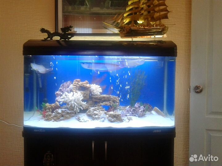 Аквариум