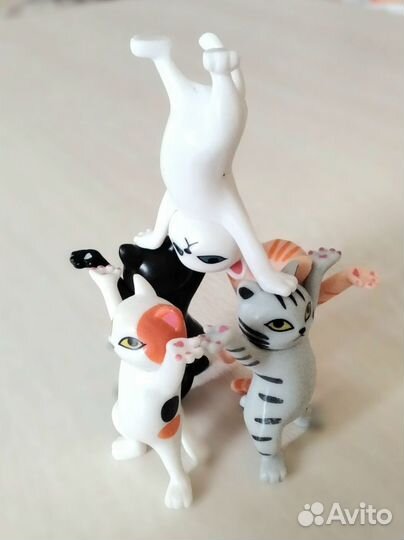Танцующие котики