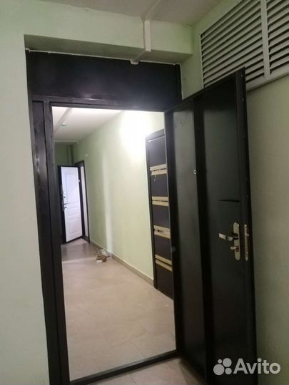 Тамбурная дверь