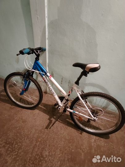 Велосипед riviera 585 forward