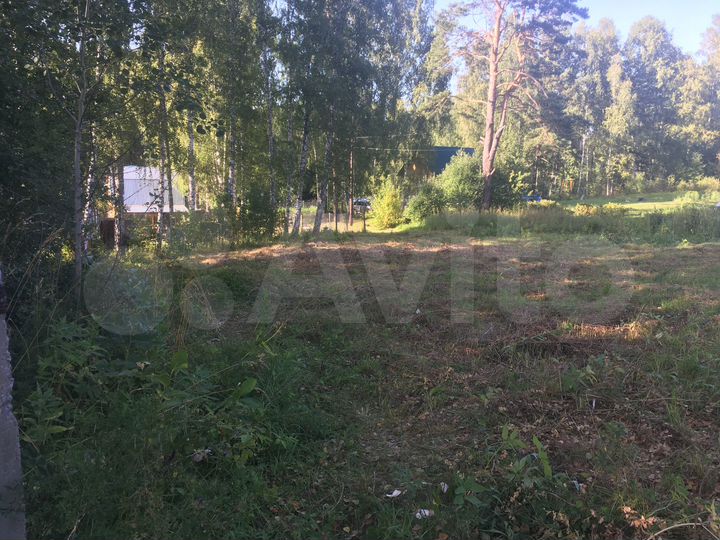 Участок 10 сот. (СНТ, ДНП)