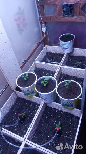 Контроллер теплицы