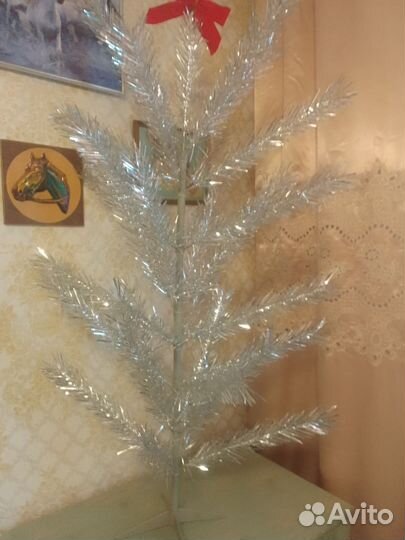 Елка серебристая СССР