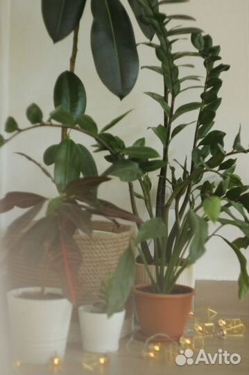 Почасовая аренда зала