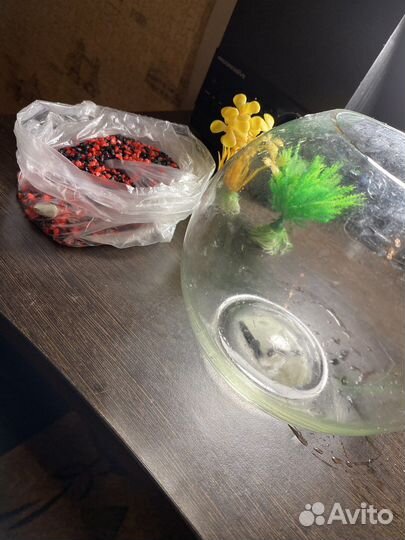 Аквариум для рыб