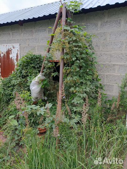 Тренога с лебедкой