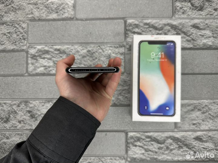 iPhone X, 256 ГБ