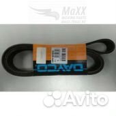 Ремень помпы volvo 10PK1808/ 10PK1805 Dayc