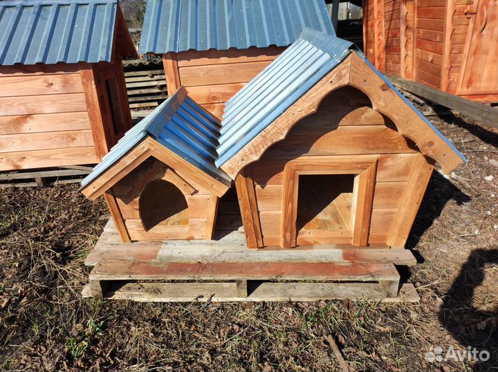 Собачья будка