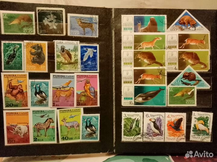 Почтовые марки