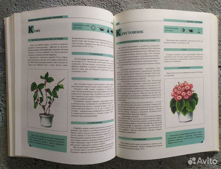 Книга Энциклопедия комнатных растений