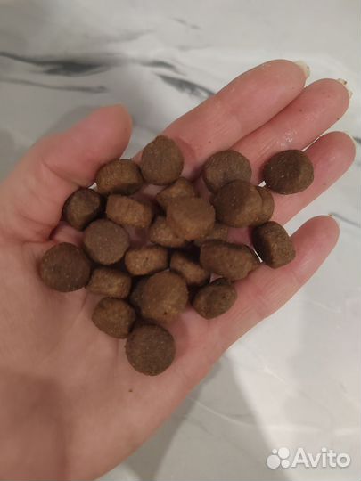 Корм сухой Grandorf для кошек крупных 2кг