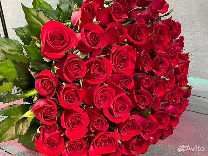 101 роза букет цветов цветы опт 15 21 25 31 45 51