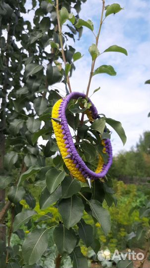 Ошейники из паракорда