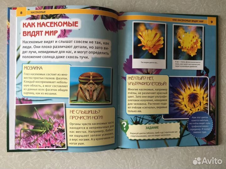 Детская энциклопедия Насекомые