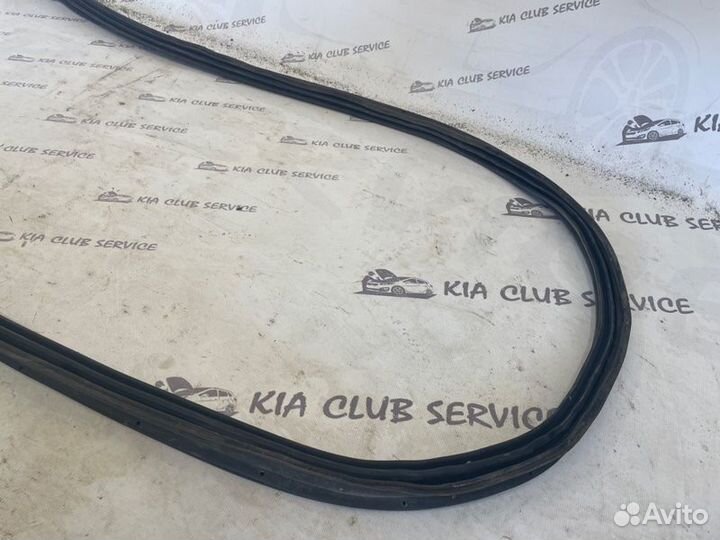 Уплотнительная резинка крышки багажника Kia Ceed
