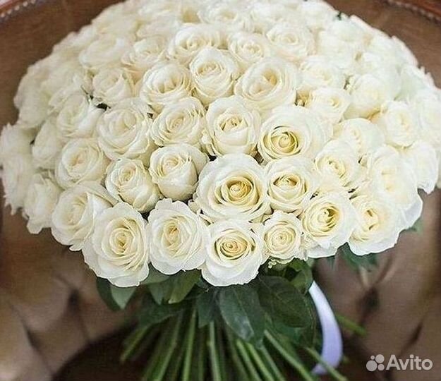 101 Роза Цветы Букеты 51 25 Роз Доставка