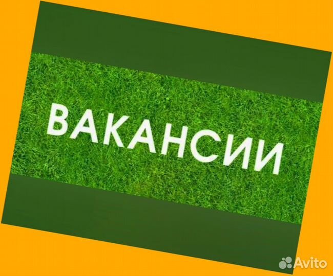 Жиловщик мяса Вахта Жилье+Еда Еженедельный аванс М/Ж