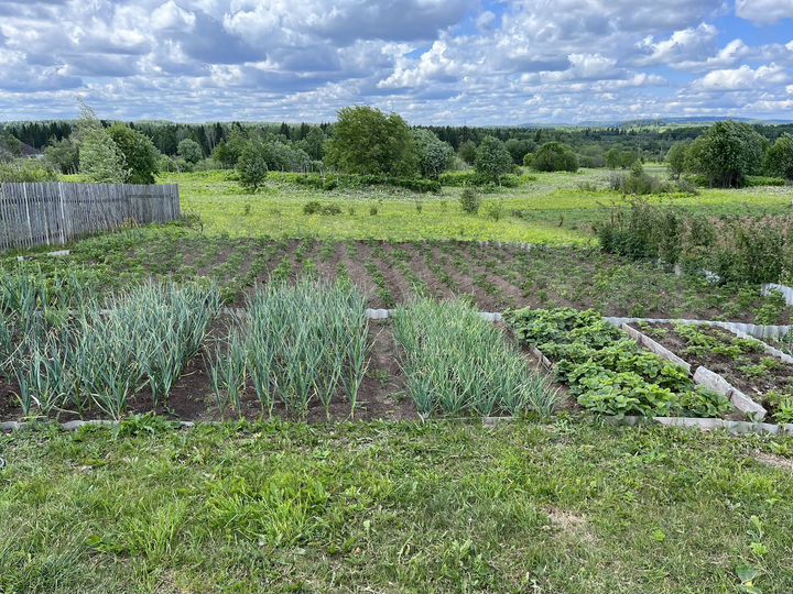 Участок 8 сот. (СНТ, ДНП)