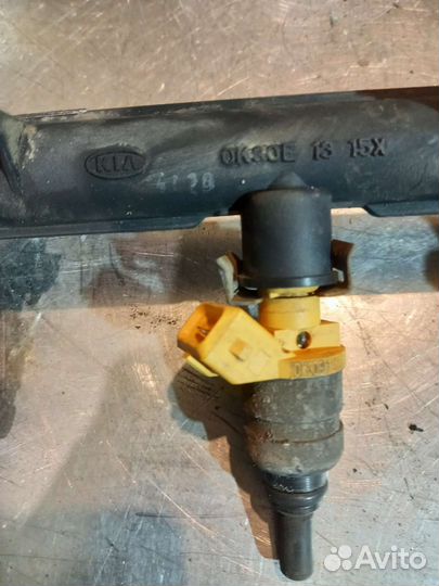 Топливная рампа Kia Rio1