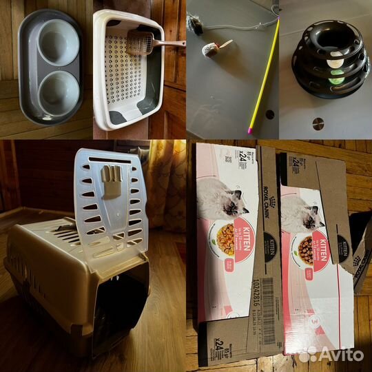 Кошачьи дела