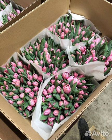 Тюльпаны к 8 марта оптом